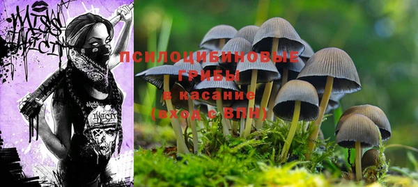 PSILOCYBIN Касимов