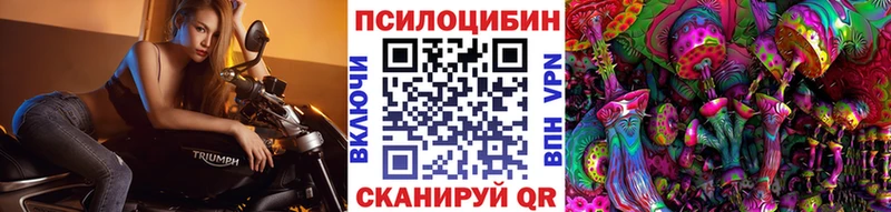 Купить  Высоковск  Псилоцибиновые грибы MAGIC MUSHROOMS 